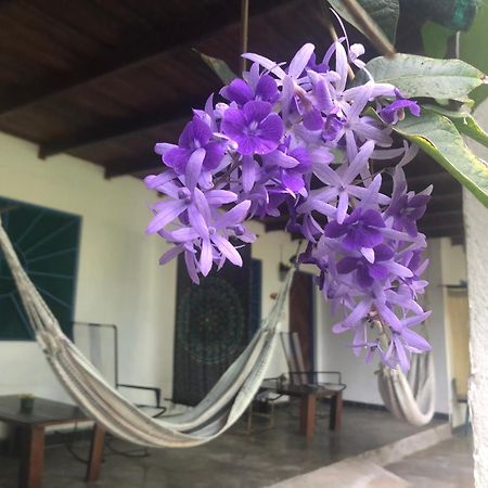 El Pargo Feliz Hotel Montezuma Ngoại thất bức ảnh