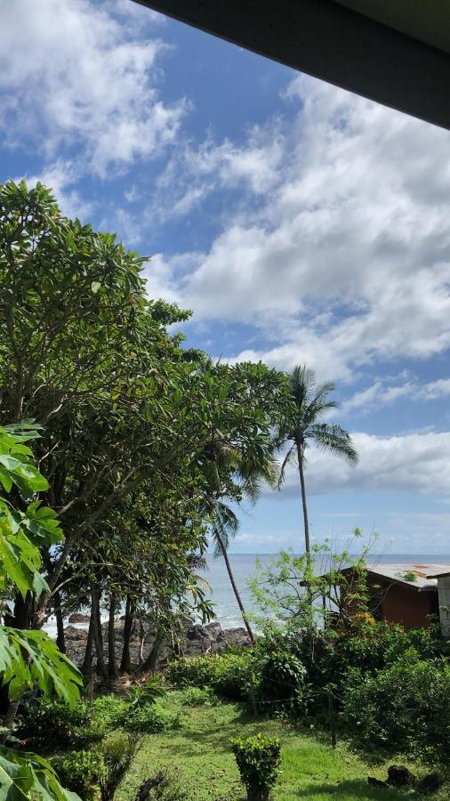 El Pargo Feliz Hotel Montezuma Ngoại thất bức ảnh
