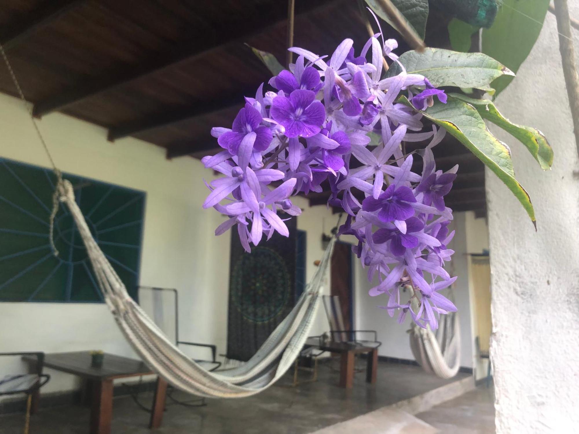 El Pargo Feliz Hotel Montezuma Ngoại thất bức ảnh